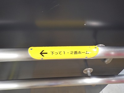 �K�[������w�摜