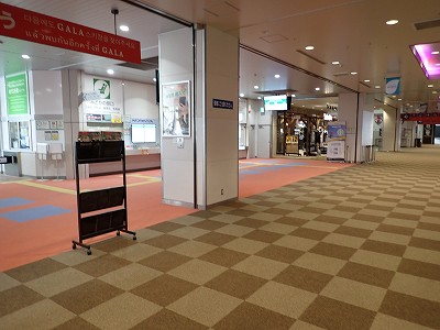 �K�[������w�摜