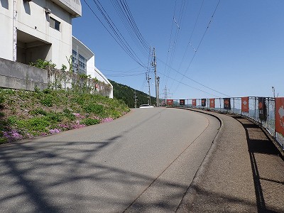 �K�[������w�摜