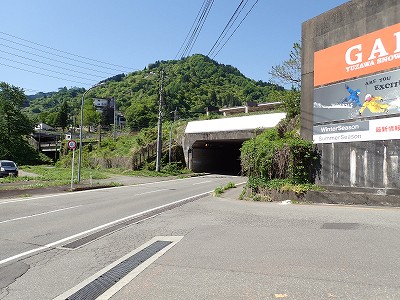 �K�[������w�摜