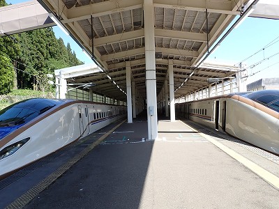 �K�[������w�摜