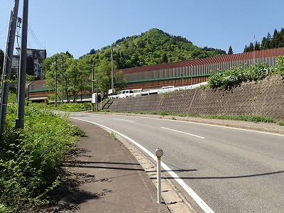 �K�[������w�摜