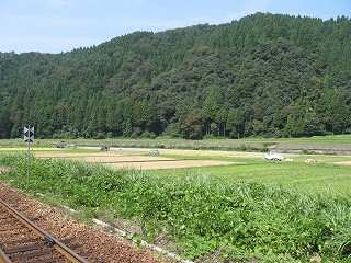 ホームより
