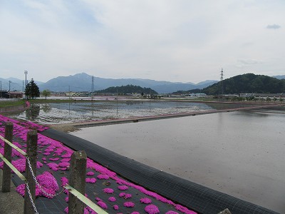 ホームから