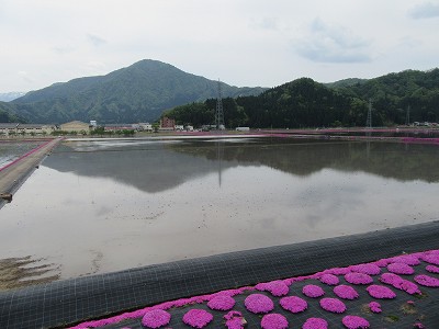 ホームから