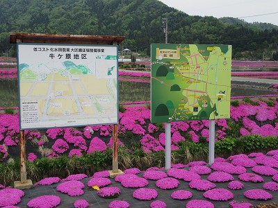ワンマンミラー