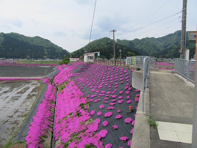 レンタサイクル