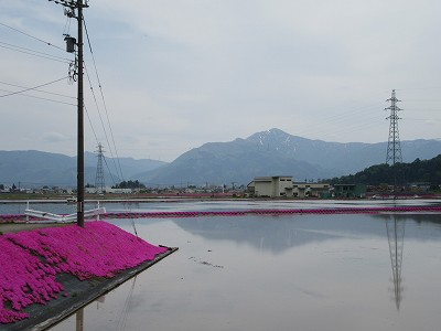 駅