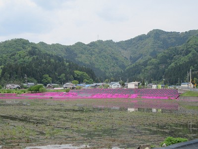 駅遠景