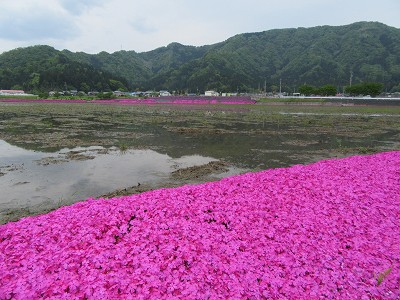 駅遠景