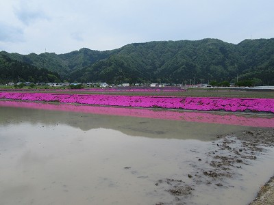 駅遠景