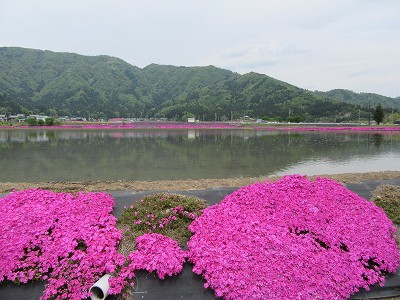 駅遠景