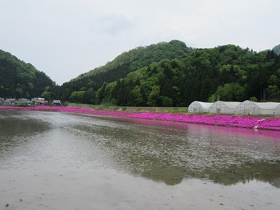 線路
