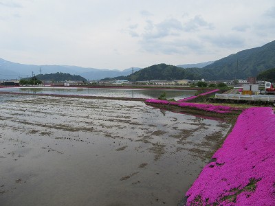 遠景