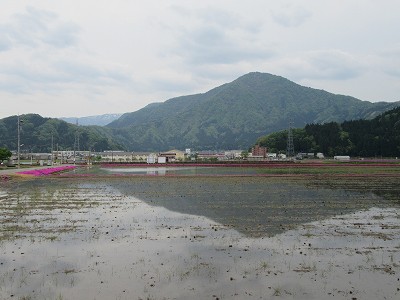 正面