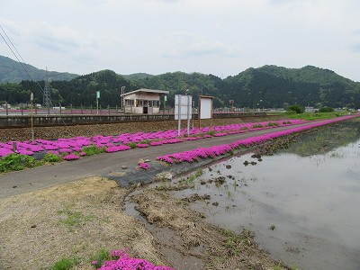 ホームの前