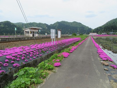 ホームの前