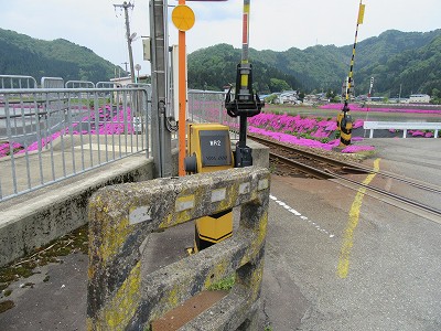 入口