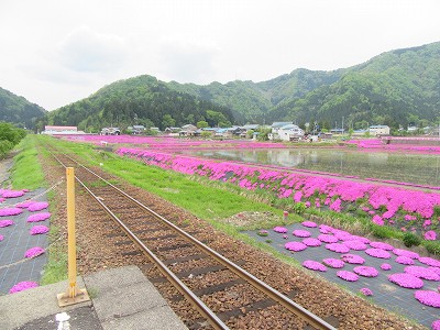 ホームから