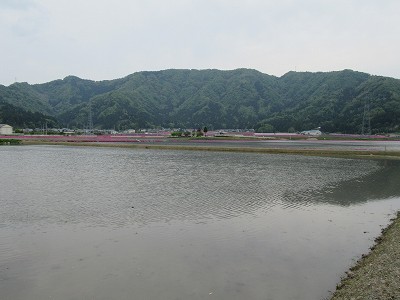 遠景