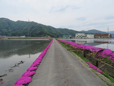 進む