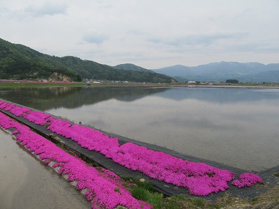 周囲