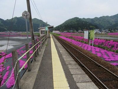 ホーム