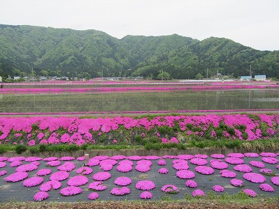ホームから