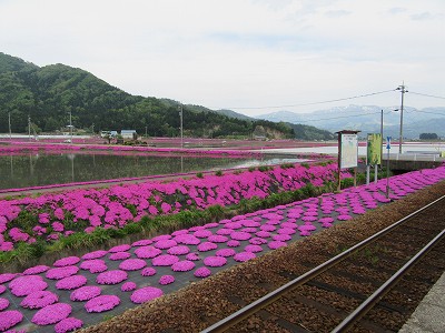 ホームから