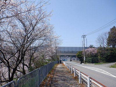 ��������w�摜