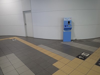 ����w�摜