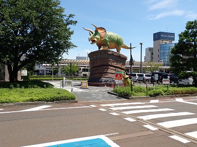 ����w�摜