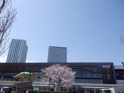 ����w�摜