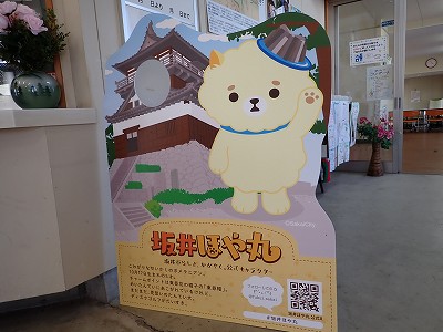 �ۉ��w�摜