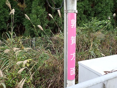�썡���w�摜