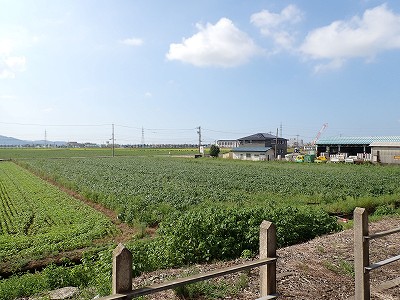 �X�c�w�摜
