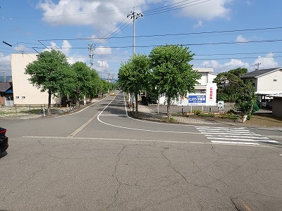 �X�c�w�摜