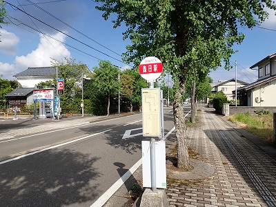 �X�c�w�摜
