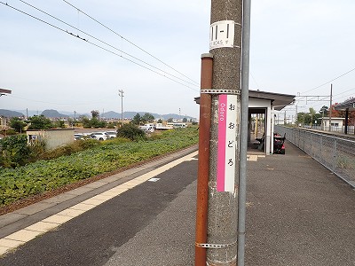 ��y�C�w�摜