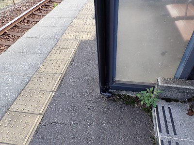 ���m�J�w�摜