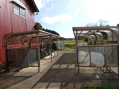 ���m�J�w�摜