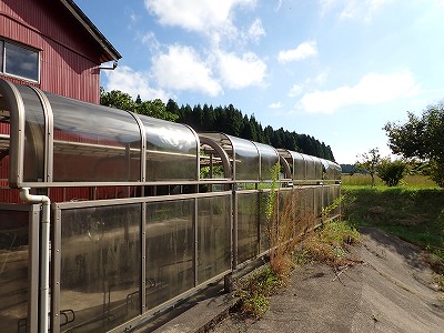 ���m�J�w�摜