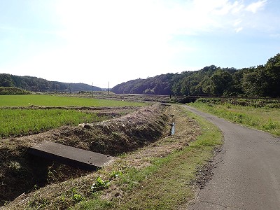 ���m�J�w�摜