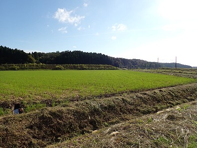 ���m�J�w�摜