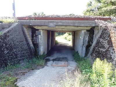 ���m�J�w�摜