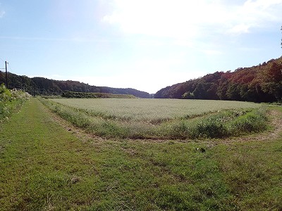 ���m�J�w�摜