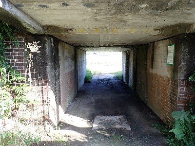 ���m�J�w�摜