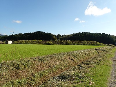 ���m�J�w�摜