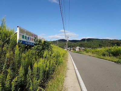 ���m�J�w�摜