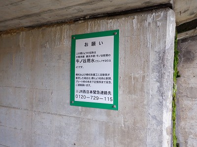 ���m�J�w�摜